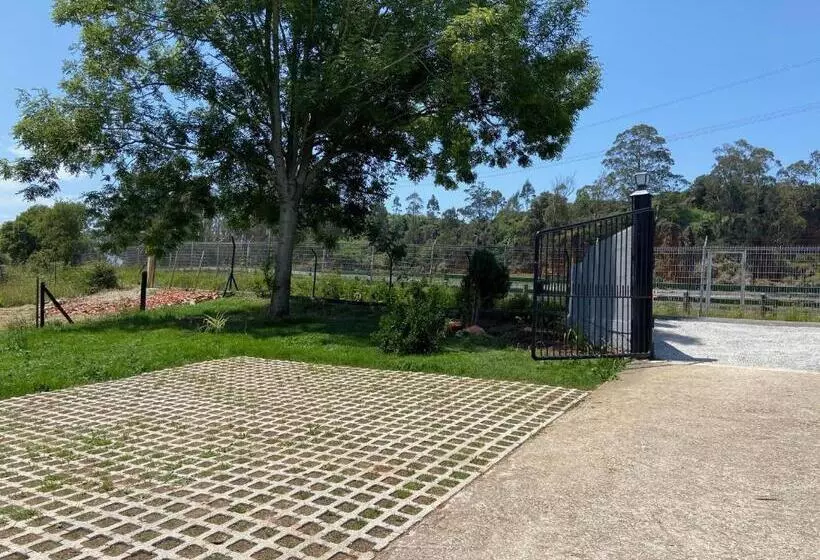 Casa Los Rinocerontes