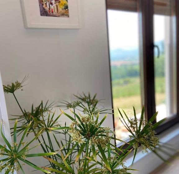 Casa Los Rinocerontes