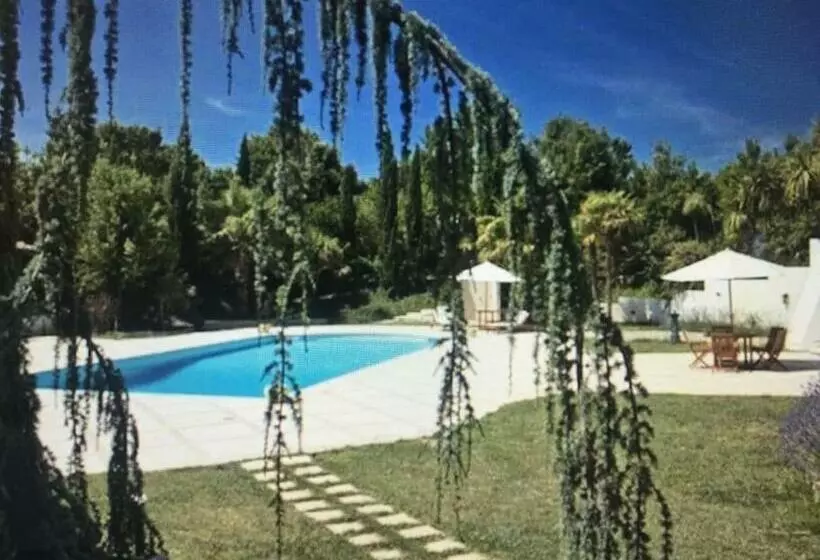 Rome Villa Swimming Pool