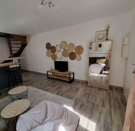 Duplex 40m2 Cocooning Cœur De Ville Avec Parking