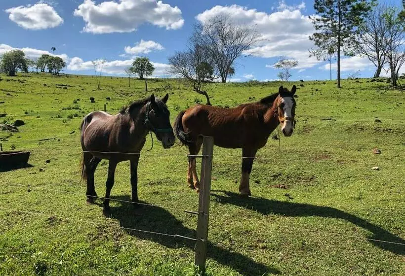 Ecolodge Piedra Y Agua