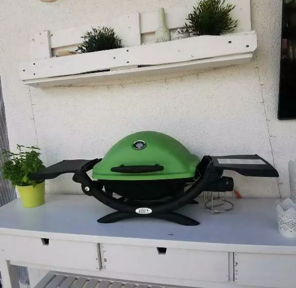 Grüne Lichtreiche Wohnung Mit Dachterasse