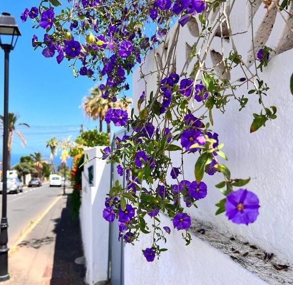 Apartamento Familiar Con Piscina Con Wi Fi En Los Cristianos