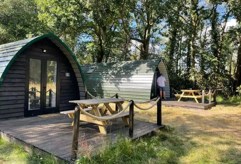 Nightjar Cabin At Cloudshill Glade