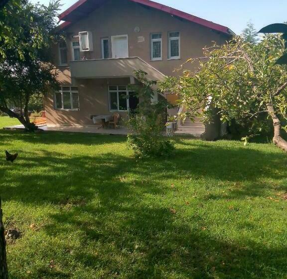 Rooftop Apartment With A Big Garden