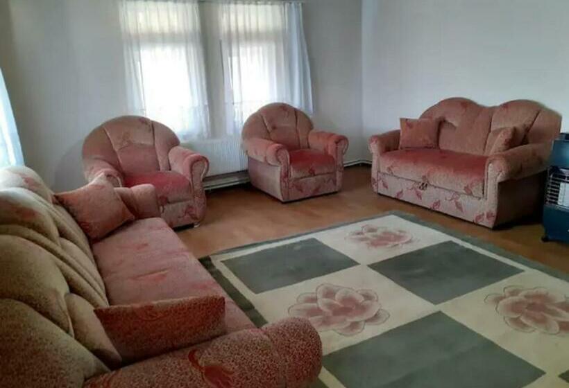 Rooftop Apartment With A Big Garden