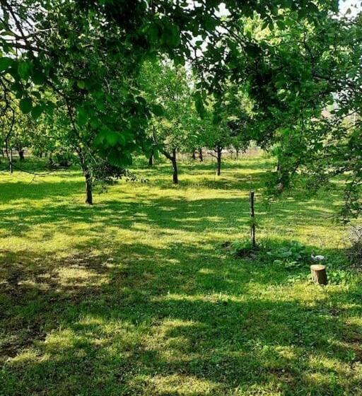 Rooftop Apartment With A Big Garden
