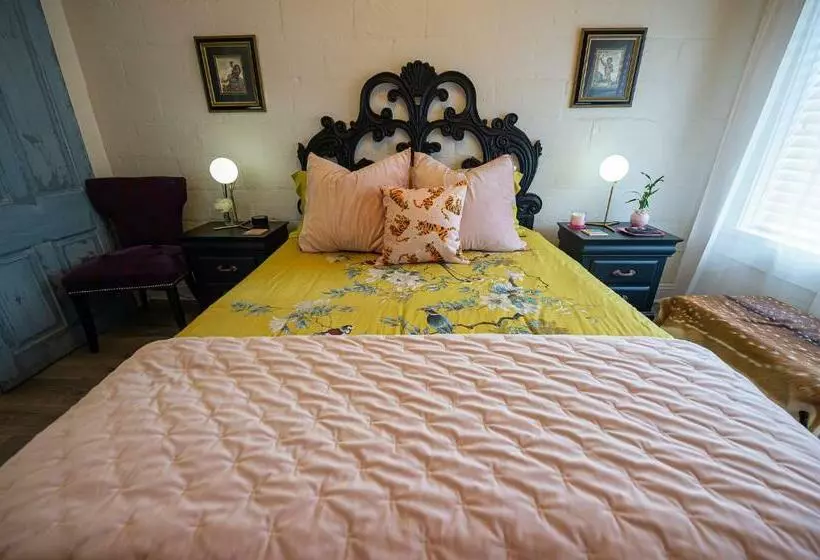 Chateau Royale, Pet Friendly, On Bayou, Downtown!