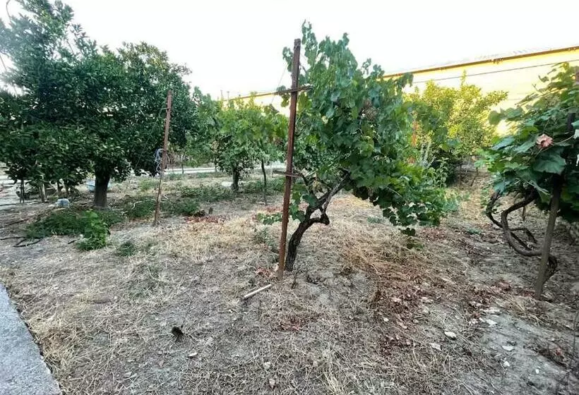 Lovely Spacious House With Big Garden