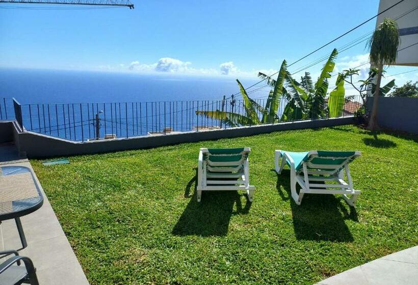 Apartamento Domingos