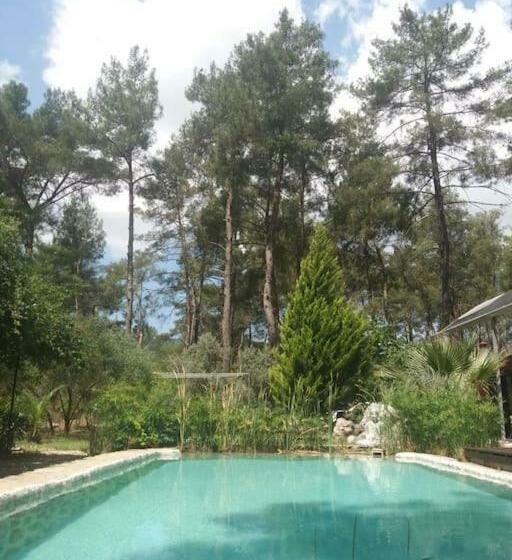 Olympos Five Rooms Apart No 1