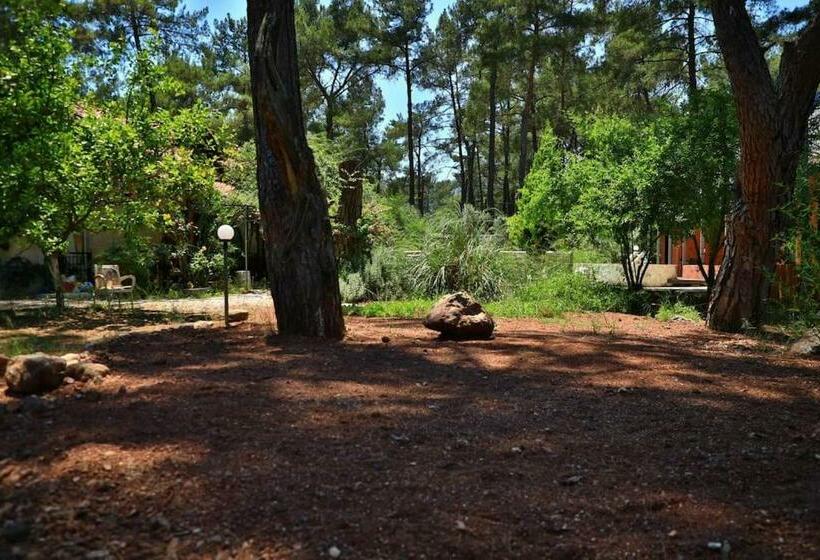 Olympos Five Rooms Apart No 1