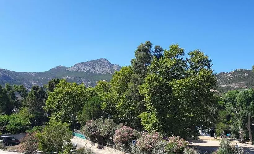 Très Bel Appartement,proche Plage Et Centre Ville