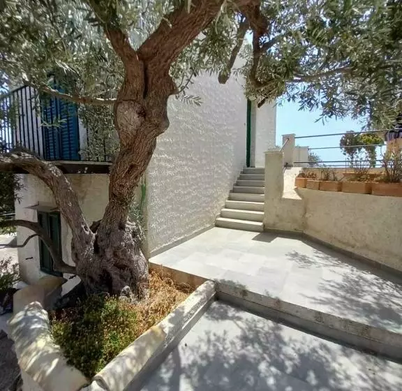 Villa Rosa