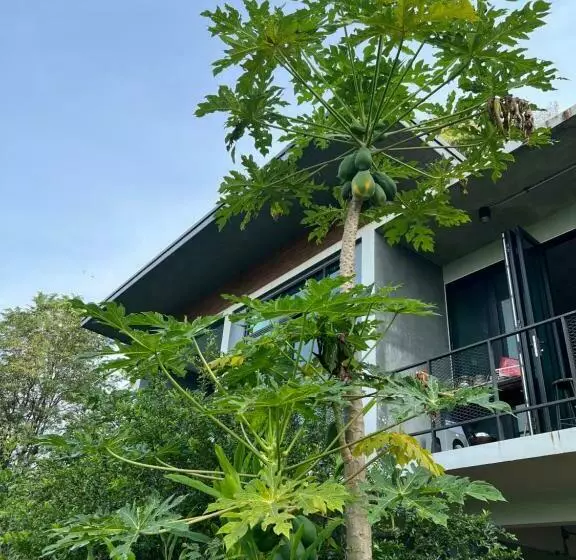 228 House