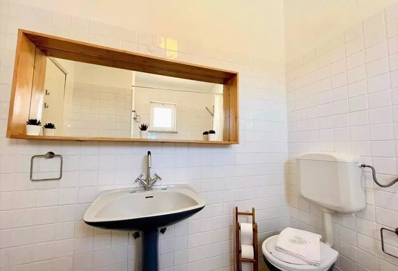 Armação De Pêra Twins 1 With Pool By Homing