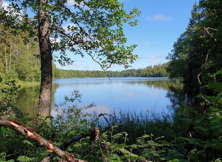 Cabin Near Lake And Beautiful Nature Reserve