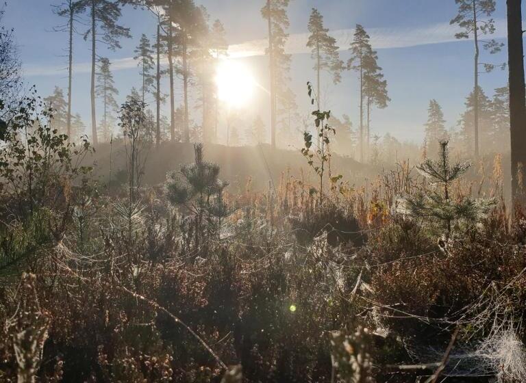 Cabin Near Lake And Beautiful Nature Reserve