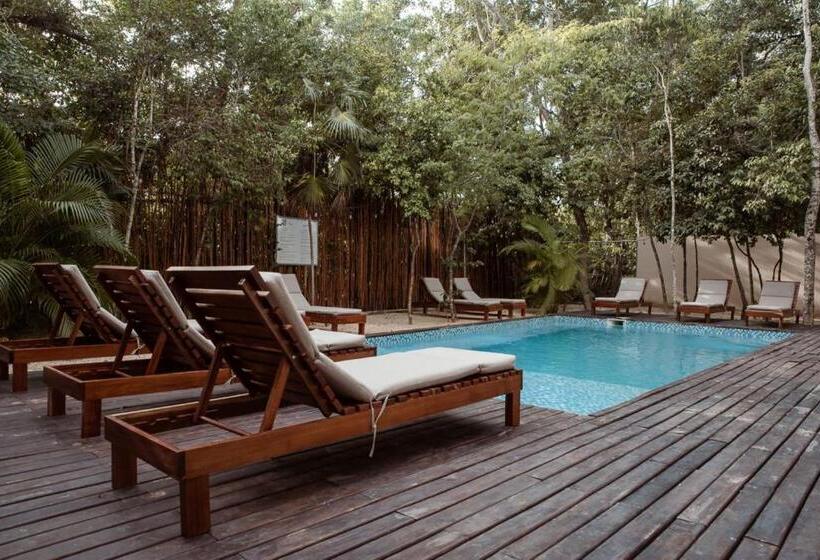 Lumina At Mareah Tulum