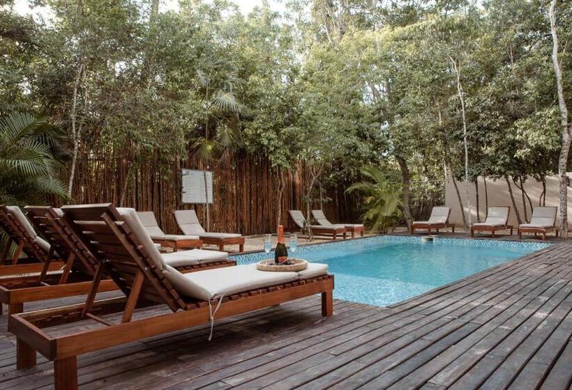 Lumina At Mareah Tulum