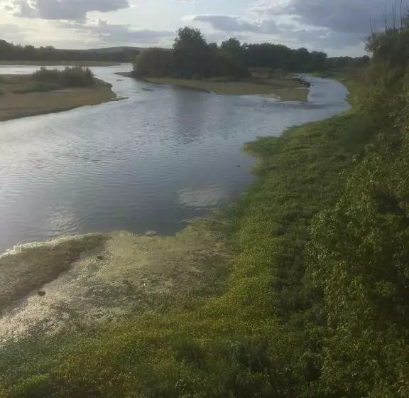 Appartement 1 Chambre
