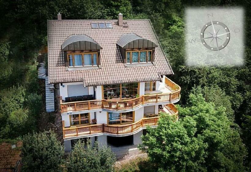 Großzügige Villa In Hanglage Am Neckar