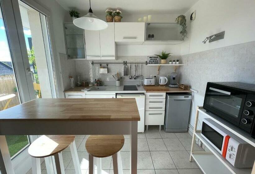 El Circo Foch, Hyper Centre