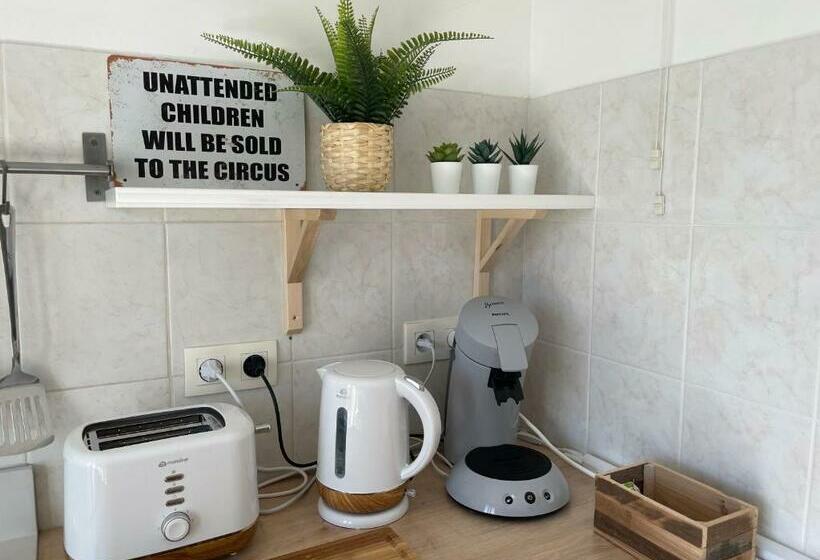 El Circo Foch, Hyper Centre