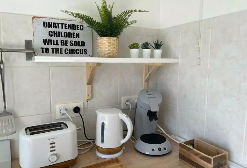 El Circo Foch, Hyper Centre