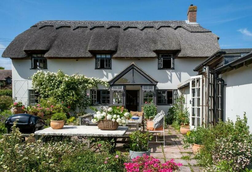 Thatched Hat Cottage