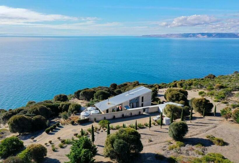 Little Cuttlefish On Kangaroo Island