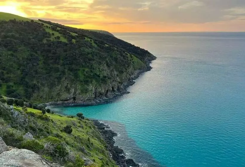 Little Cuttlefish On Kangaroo Island