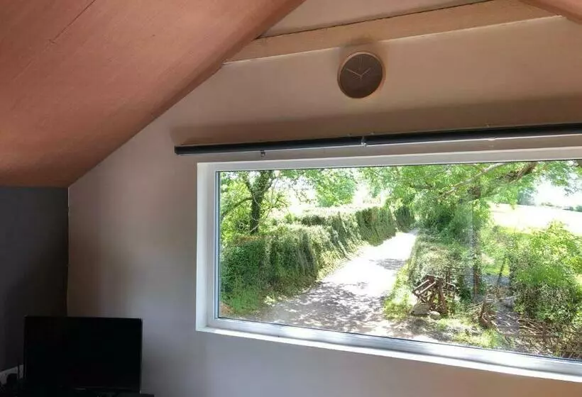 Lucys Loft