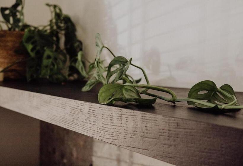 Prachtig Appartement Met Patio Op Het Zuid