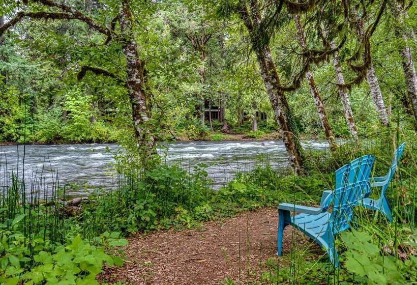 Mckenzie Dream Riverfront Log Cabinnew Listing