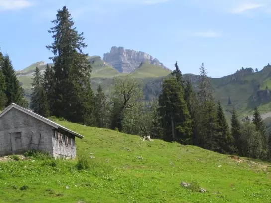 Hotel Ferienhaus Walser