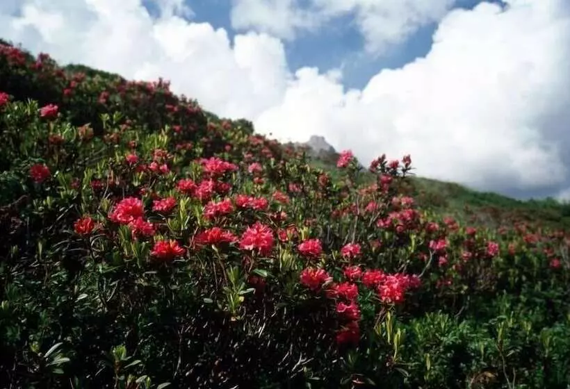 호텔 Gästehaus Meusburger