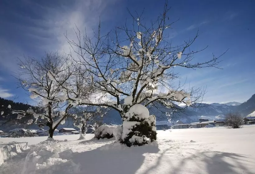 호텔 Gästehaus Meusburger