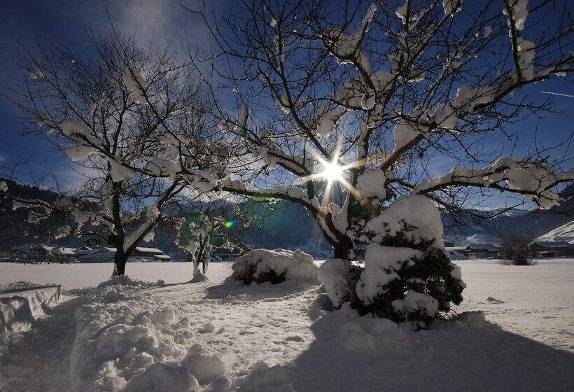 ホテル Gästehaus Meusburger