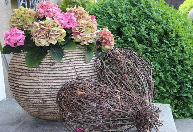 호텔 Gästehaus Meusburger