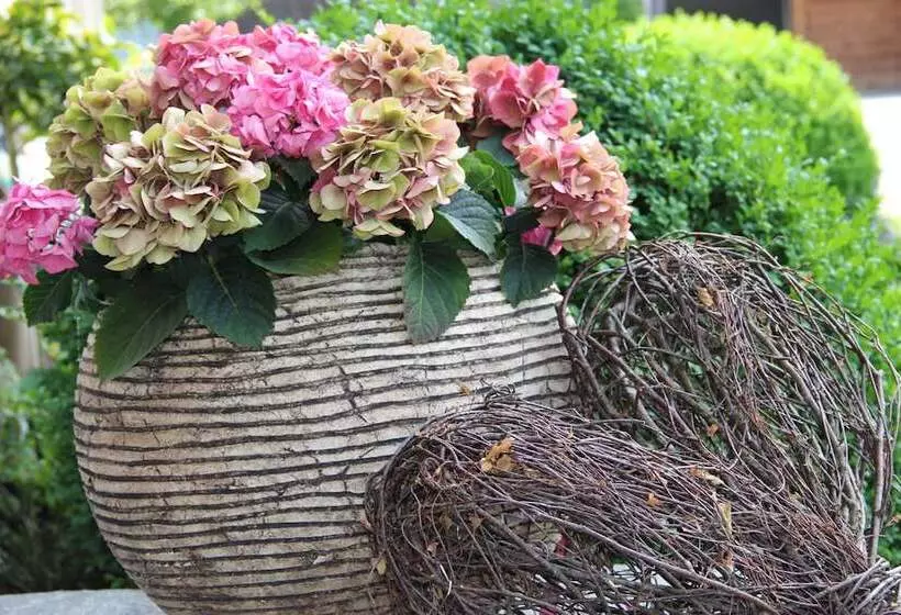 호텔 Gästehaus Meusburger