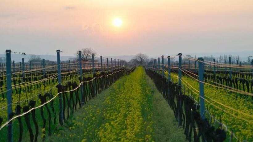 Отель Kurhaus Marienkron