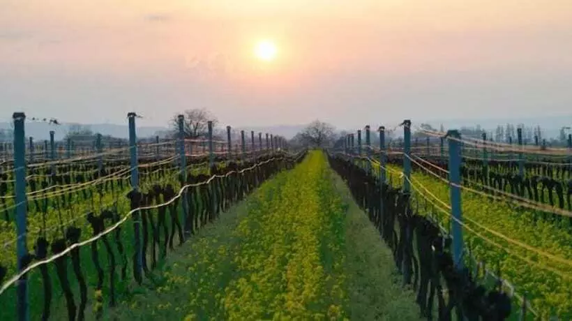 فندق Kurhaus Marienkron