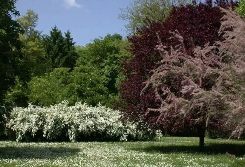 فندق Kurhaus Marienkron