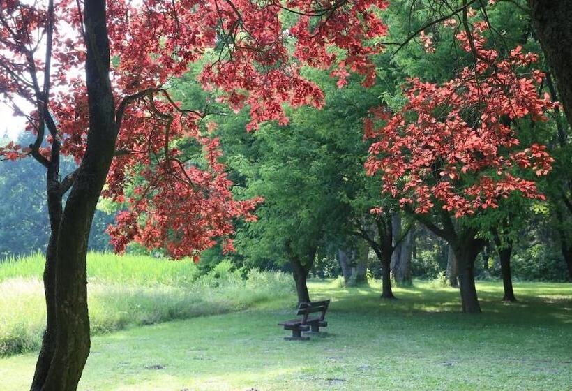 Отель Kurhaus Marienkron