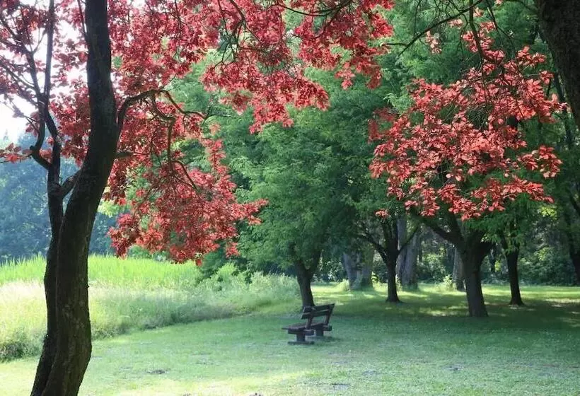 فندق Kurhaus Marienkron