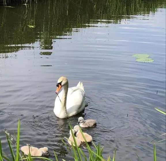 בית מלון כפרי Wymerts