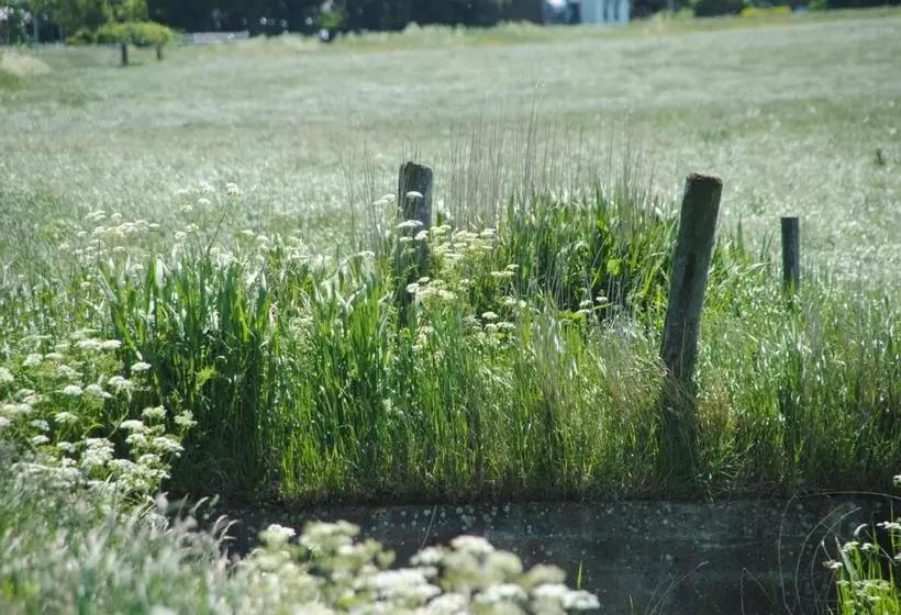 בית מלון כפרי Wymerts