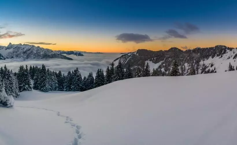 Relax & Vitalhotel Adler