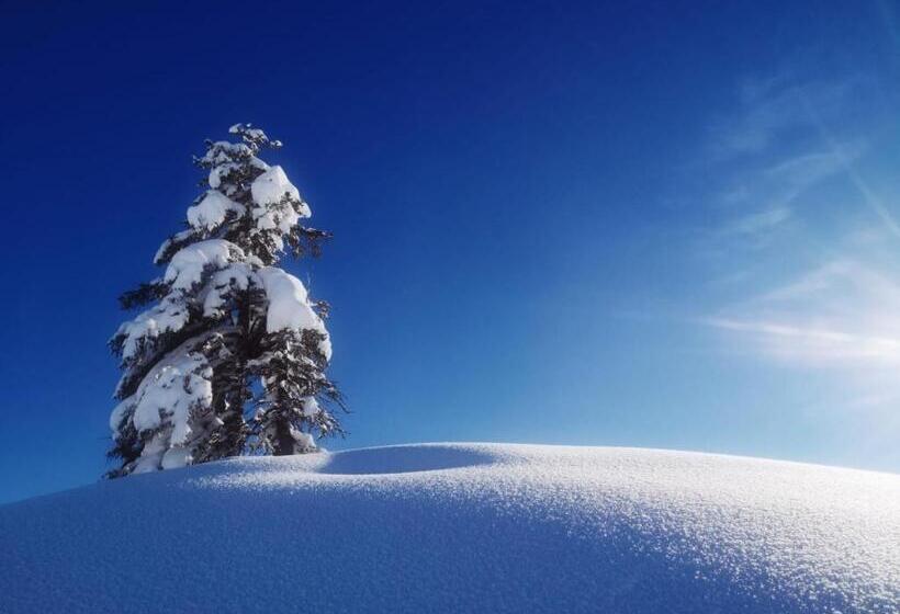 Relax & Vitalhotel Adler